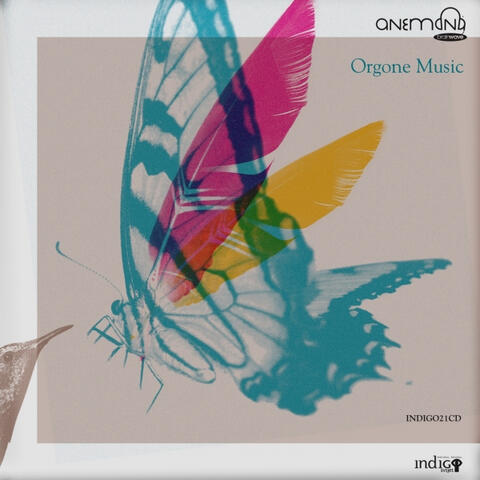 Anemona Brainwave Music Album Cover – Orgone Music
